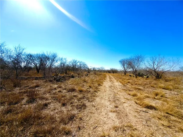 $100,000 | 0 Tract 13 San Diego Creek Ranch, San Diego, TX 78384