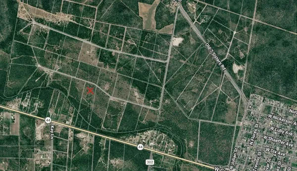 $100,000 | 0 Tract 13 San Diego Creek Ranch, San Diego, TX 78384