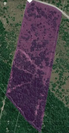 $100,000 | 0 Tract 13 San Diego Creek Ranch, San Diego, TX 78384