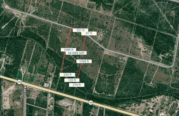 $100,000 | 0 Tract 13 San Diego Creek Ranch, San Diego, TX 78384