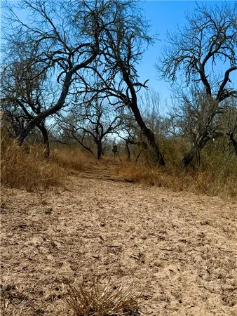$100,000 | 0 Tract 13 San Diego Creek Ranch, San Diego, TX 78384