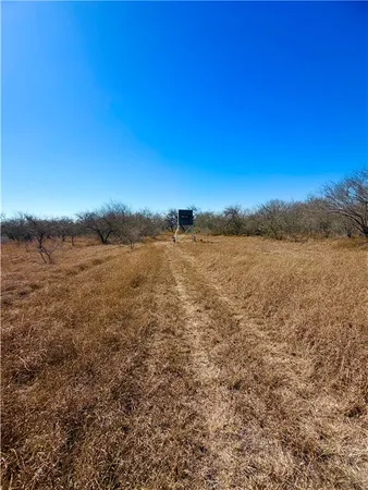 $100,000 | 0 Tract 13 San Diego Creek Ranch, San Diego, TX 78384