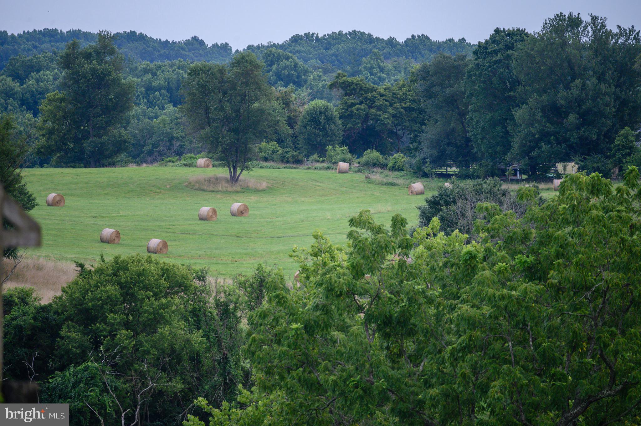 21088 Unison Road Middleburg, VA 20117 - Photo 31 of 66 a view of a green field with trees in the background