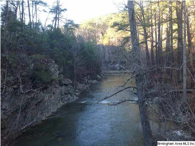 Creek Road, Unit 8 9AC Munford, AL 36268 - Photo 6 of 6