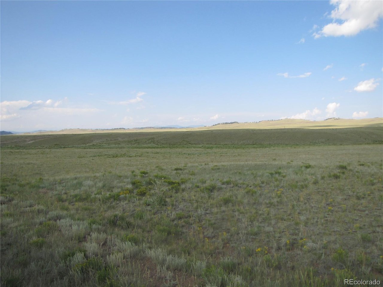 1429 Anadarko Road Hartsel, CO 80449 - Photo 10 of 11