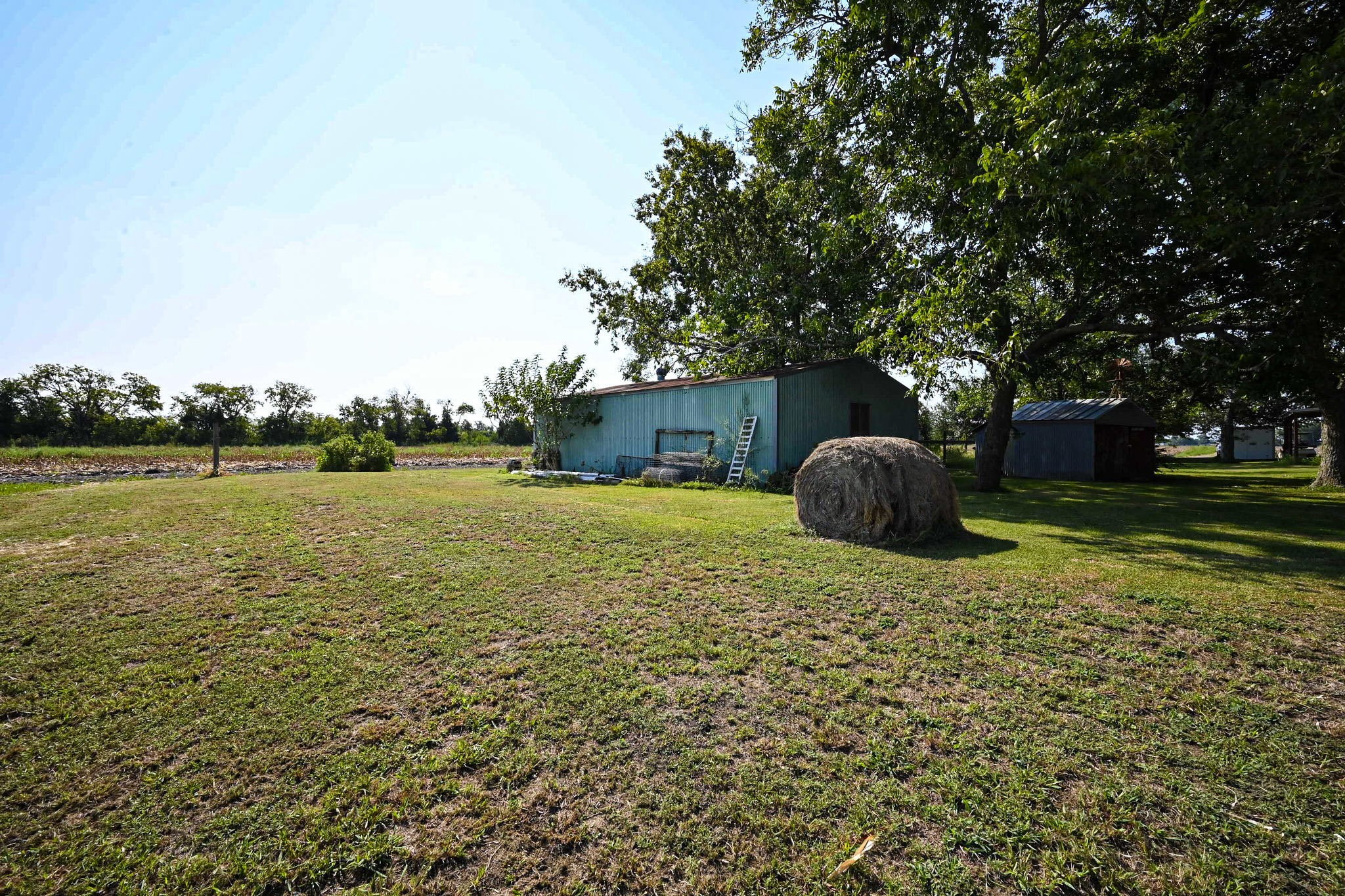 14920 Bj Dusek Road Wallis, TX 77485 - Photo 15 of 20 a backyard of a house with lots of green space