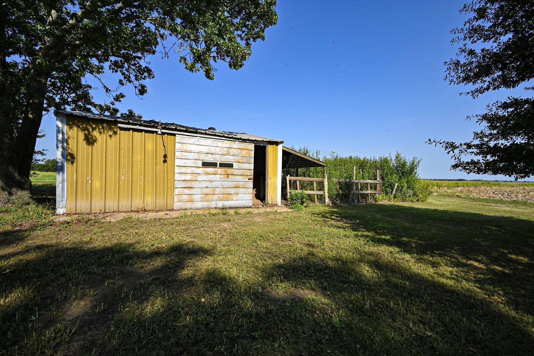 14920 Bj Dusek Road Wallis, TX 77485 - Photo 17 of 20 a view of a backyard with large trees
