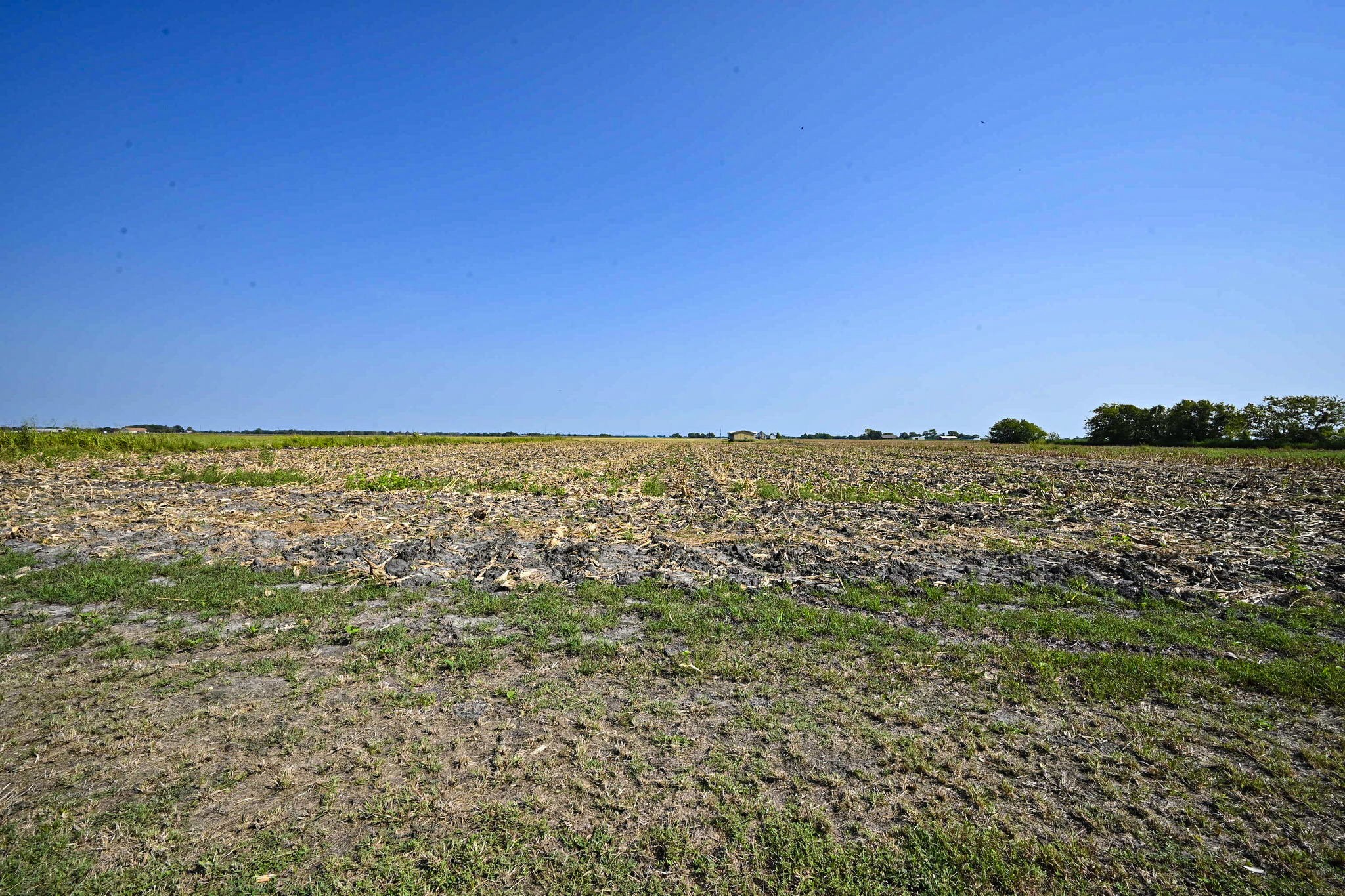 14920 Bj Dusek Road Wallis, TX 77485 - Photo 19 of 20 a view of an ocean from a yard