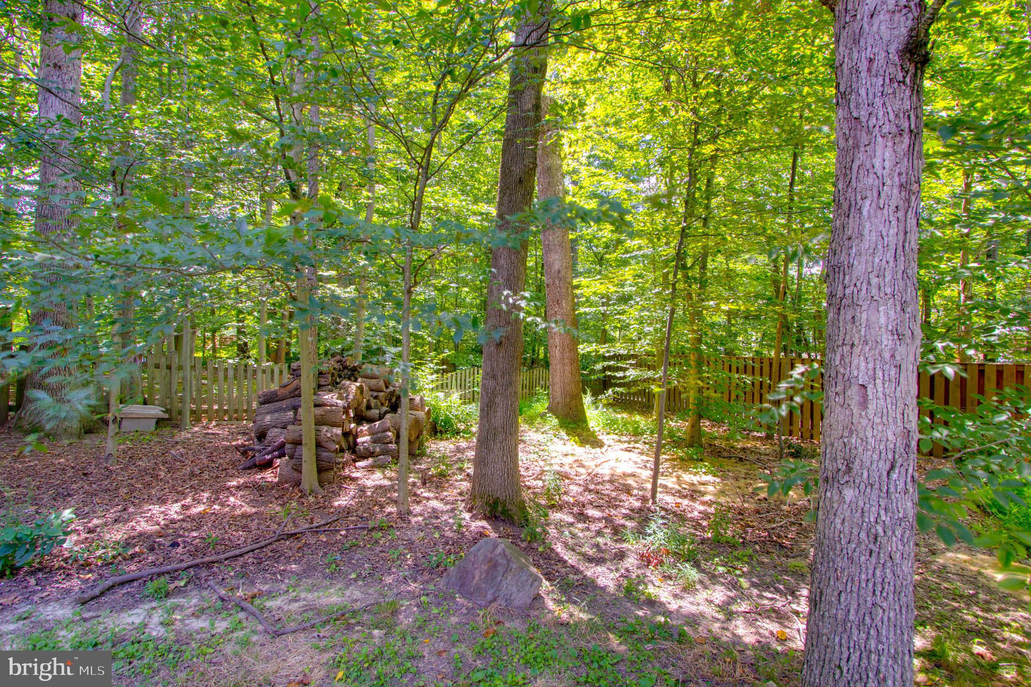 9048 Brook Ford Road Burke, VA 22015 - Photo 40 of 54 Gallery Image 40