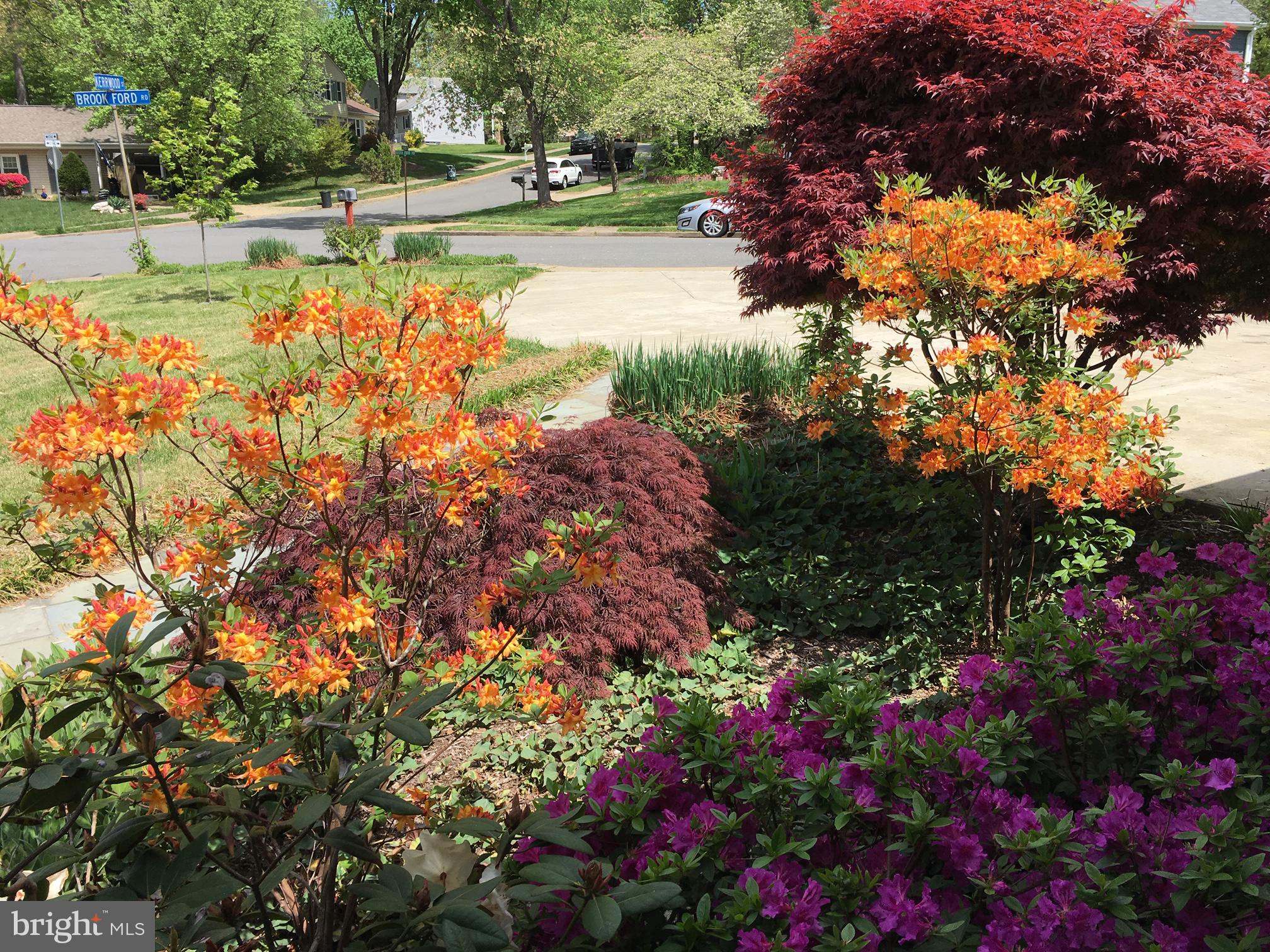 9048 Brook Ford Road Burke, VA 22015 - Photo 8 of 54 Gallery Image 8