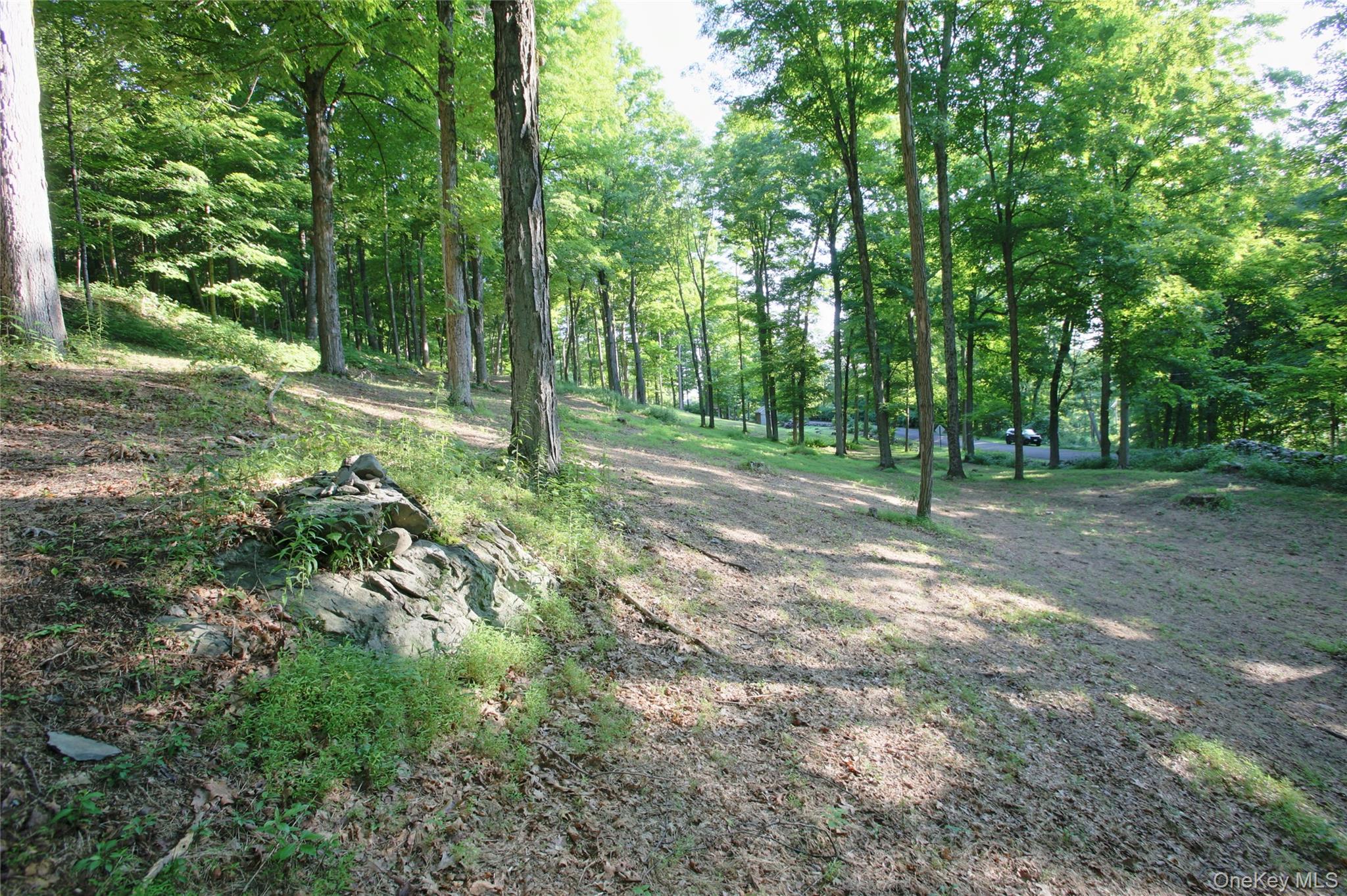 Pond Road Rhinebeck, NY 12572 - Photo 14 of 17 Gallery Image 14