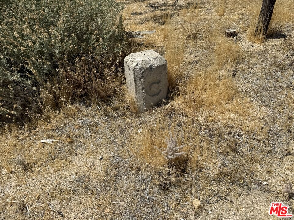 401 Sterling Road Inyokern, CA 93527 - Photo 19 of 37 a close up of a wall