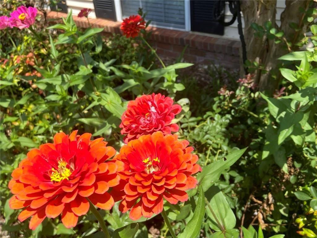 1698 Pin Oak Drive, Unit 129 Dalton, GA 30721 - Photo 4 of 37 a view of a flower