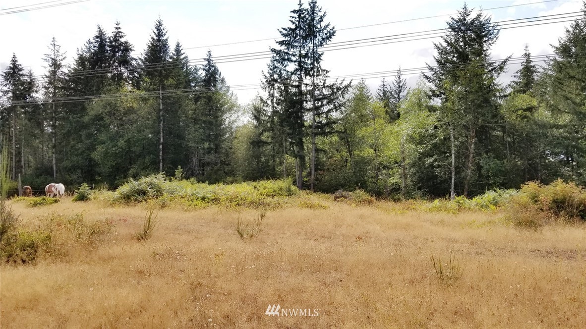 13716 Marcon Lane Southwest Rochester, WA 98579 - Photo 22 of 25