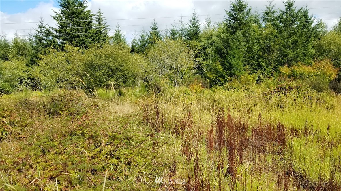 13716 Marcon Lane Southwest Rochester, WA 98579 - Photo 23 of 25