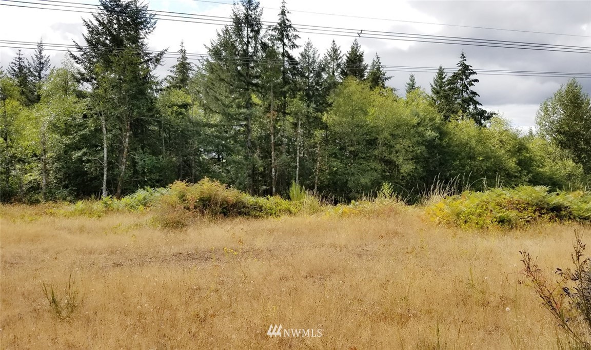 13716 Marcon Lane Southwest Rochester, WA 98579 - Photo 24 of 25