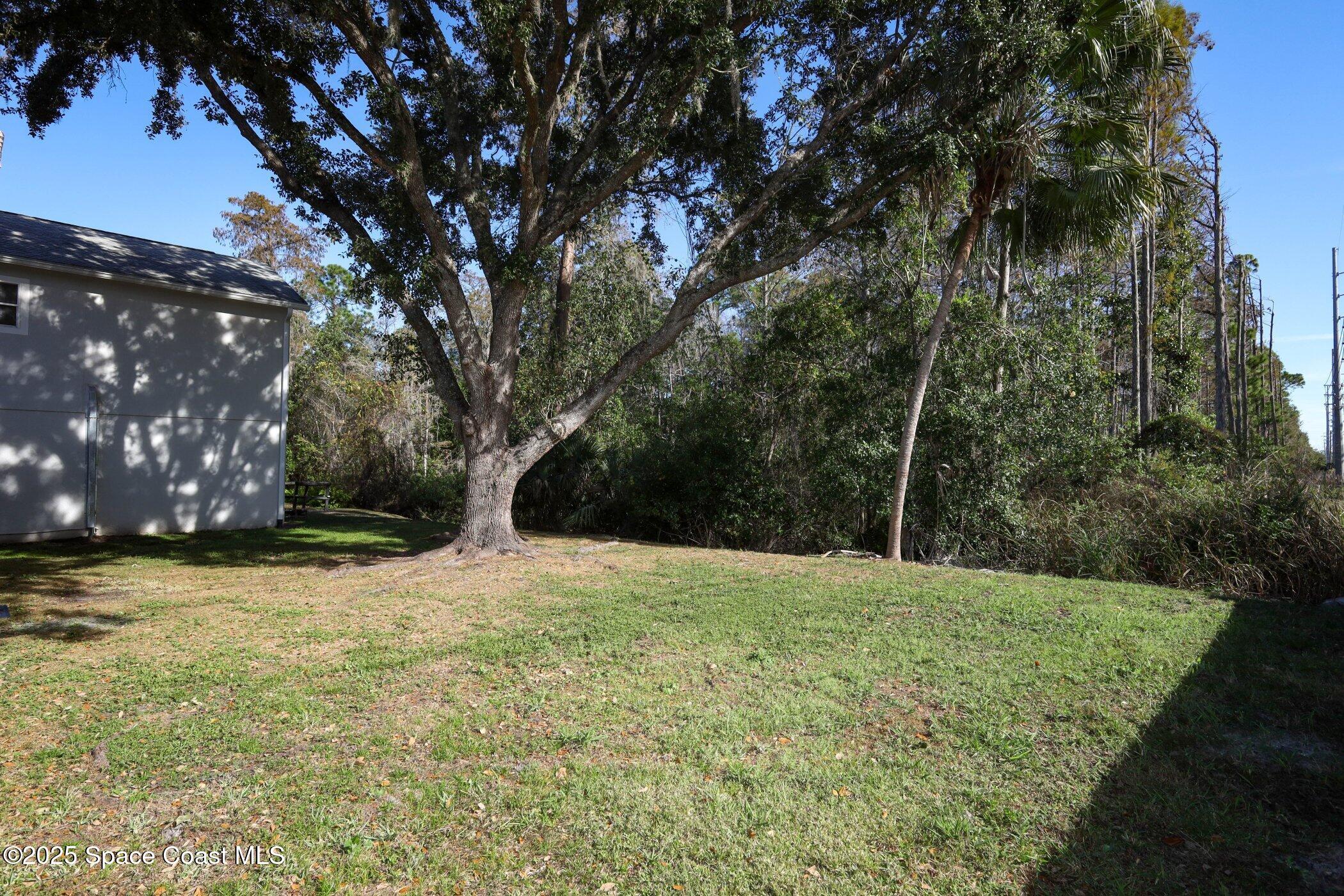 3700 Becontree Place Oviedo, FL 32765 - Photo 36 of 39 a backyard of a house with lots of green space