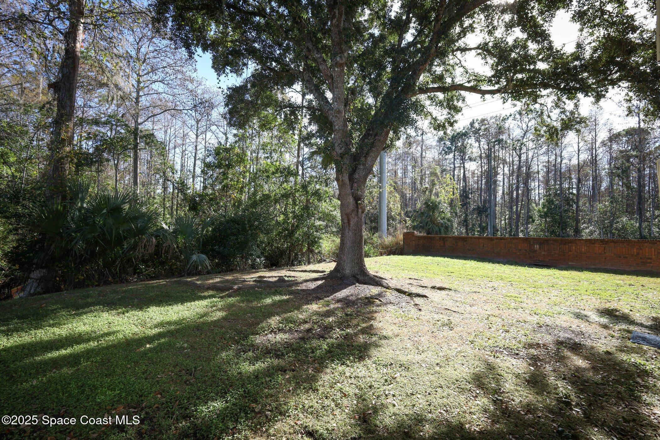 3700 Becontree Place Oviedo, FL 32765 - Photo 37 of 39 a view of a yard with large trees