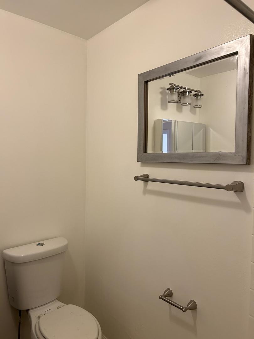 800 South Independence Boulevard, Unit 3 Chicago, IL 60624 - Photo 10 of 12 a white toilet sitting next to a bathroom sink