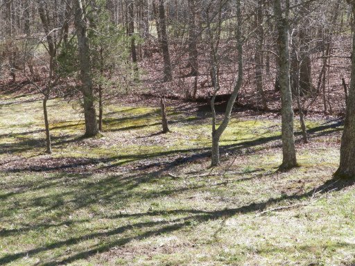1015 Pine Tree Road Jamestown, TN 38556 - Photo 2 of 19 Additional Photo