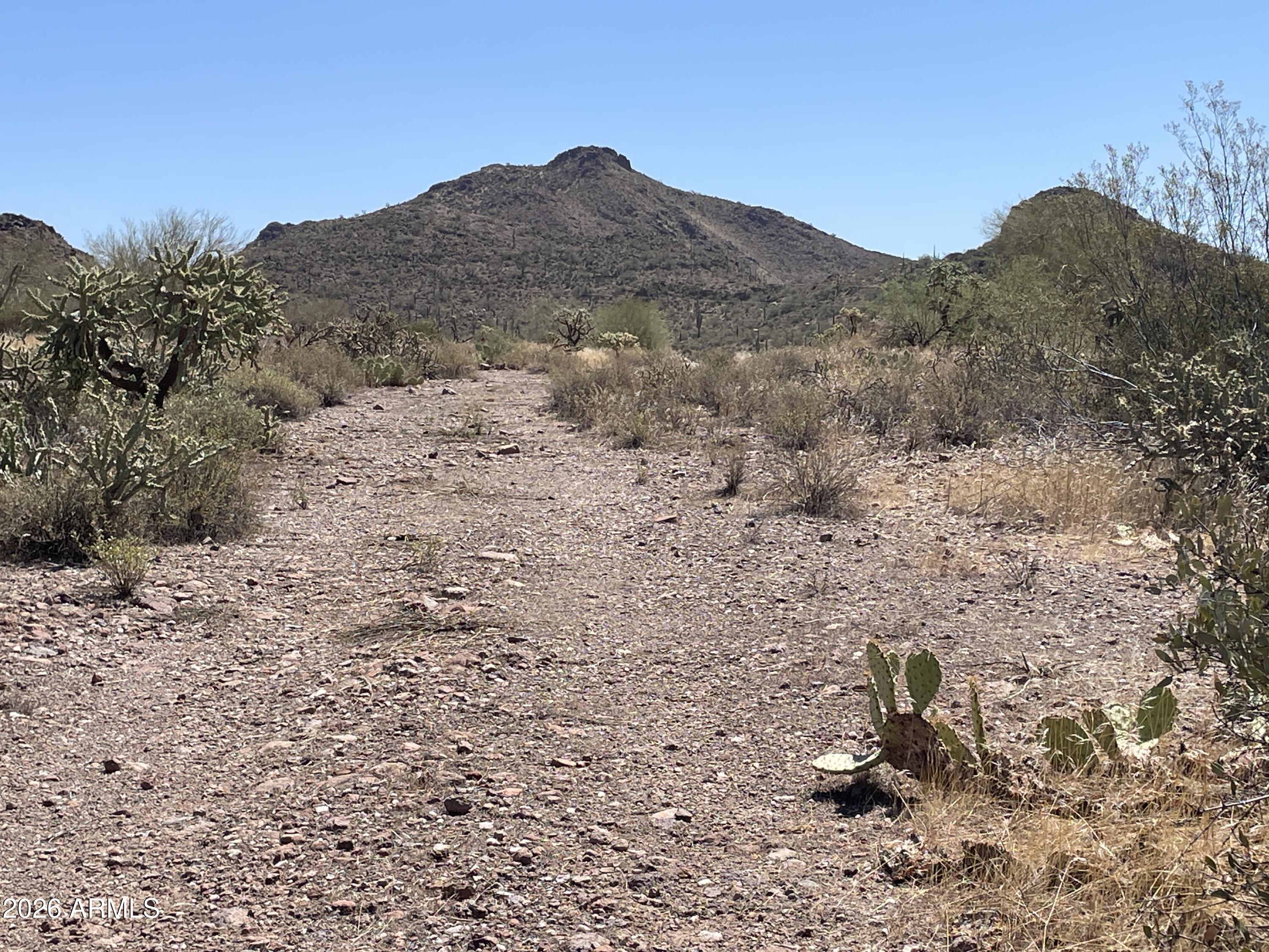 X North Elephant Butte Road Gold Canyon, AZ 85118 - Photo 3 of 7 a view of a dry field with mountains in the background