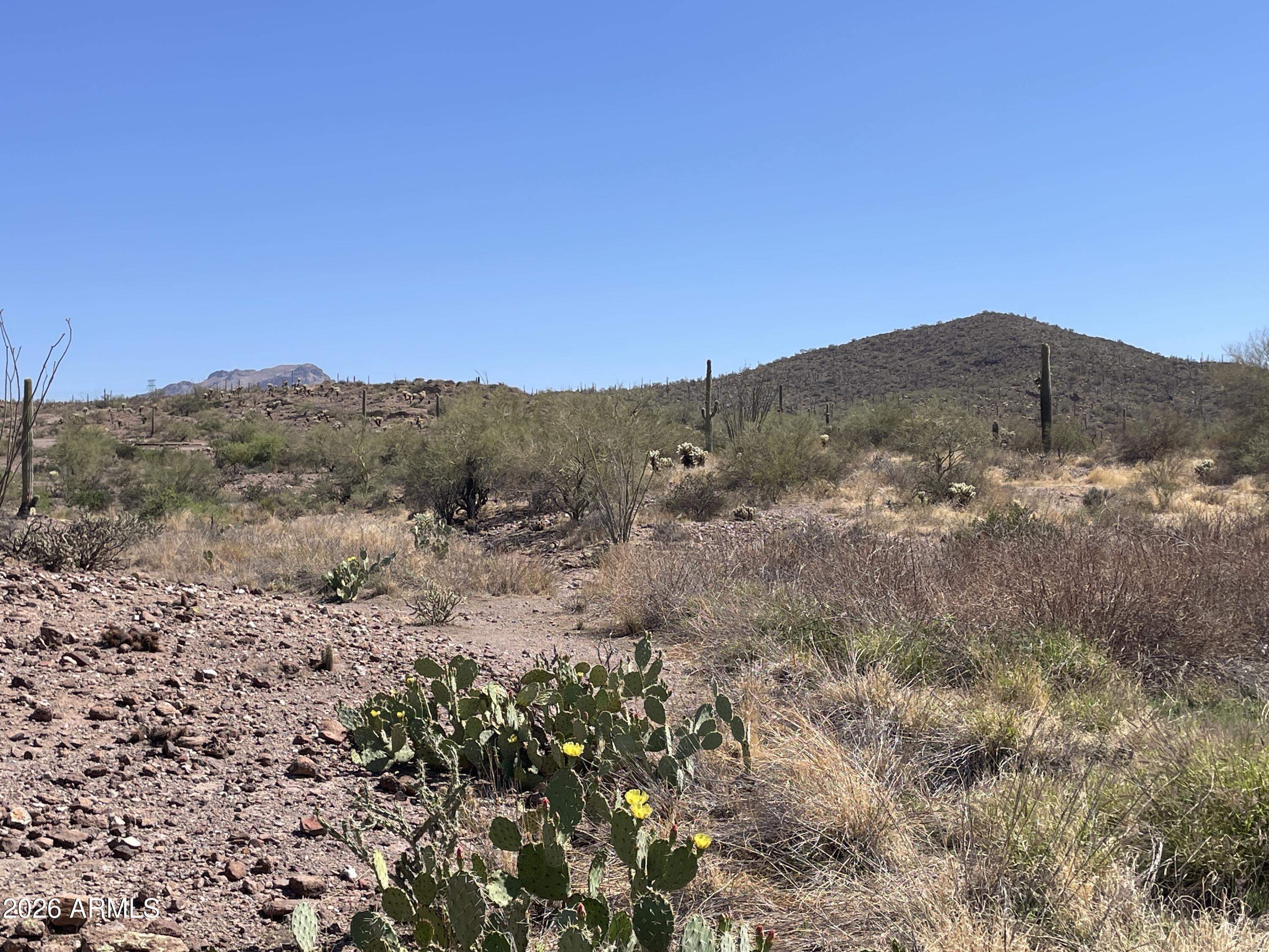 X North Elephant Butte Road Gold Canyon, AZ 85118 - Photo 4 of 7 a view of a dry field with mountains in the background