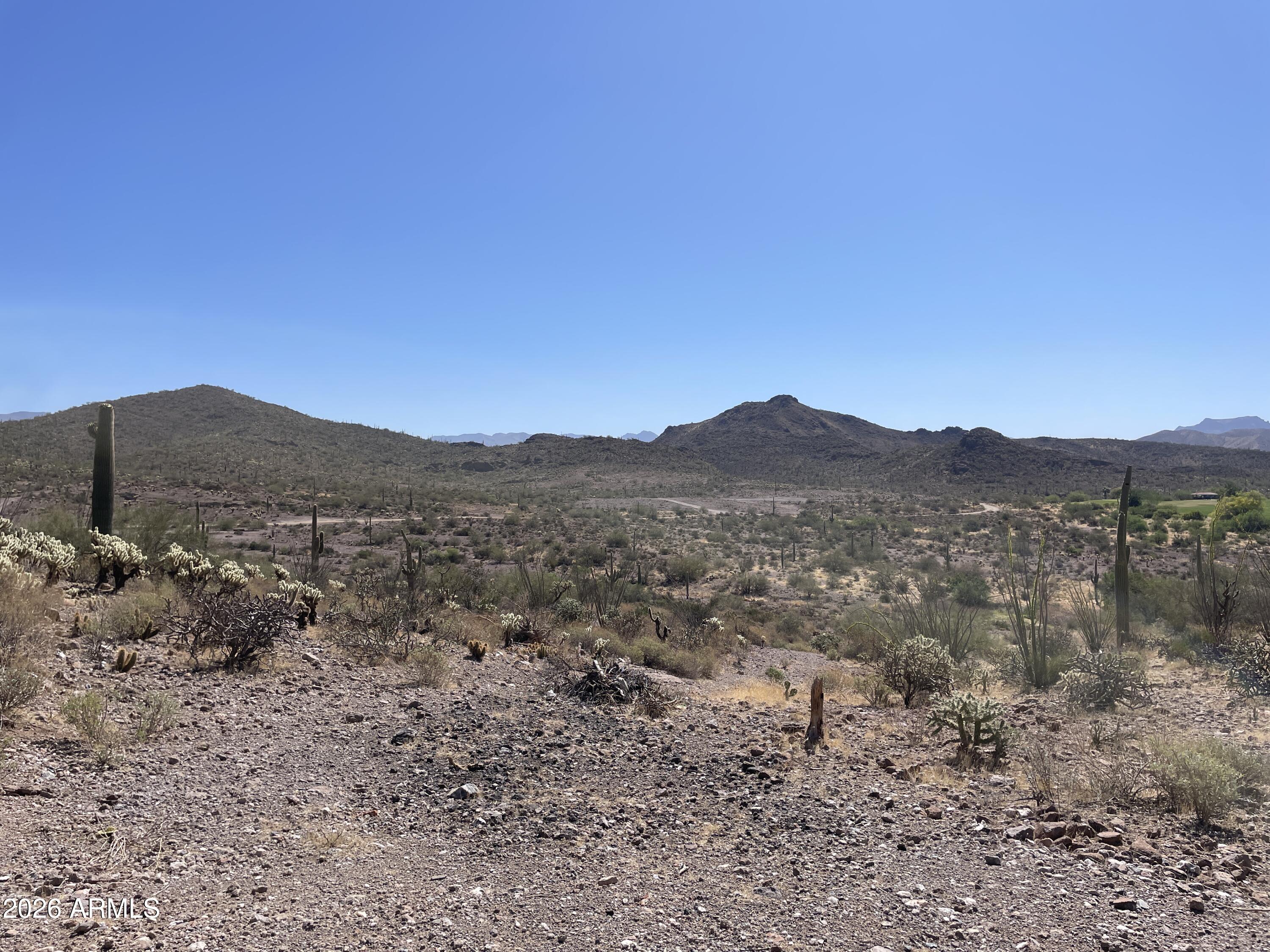 X North Elephant Butte Road Gold Canyon, AZ 85118 - Photo 7 of 7 a view of mountain and a forest