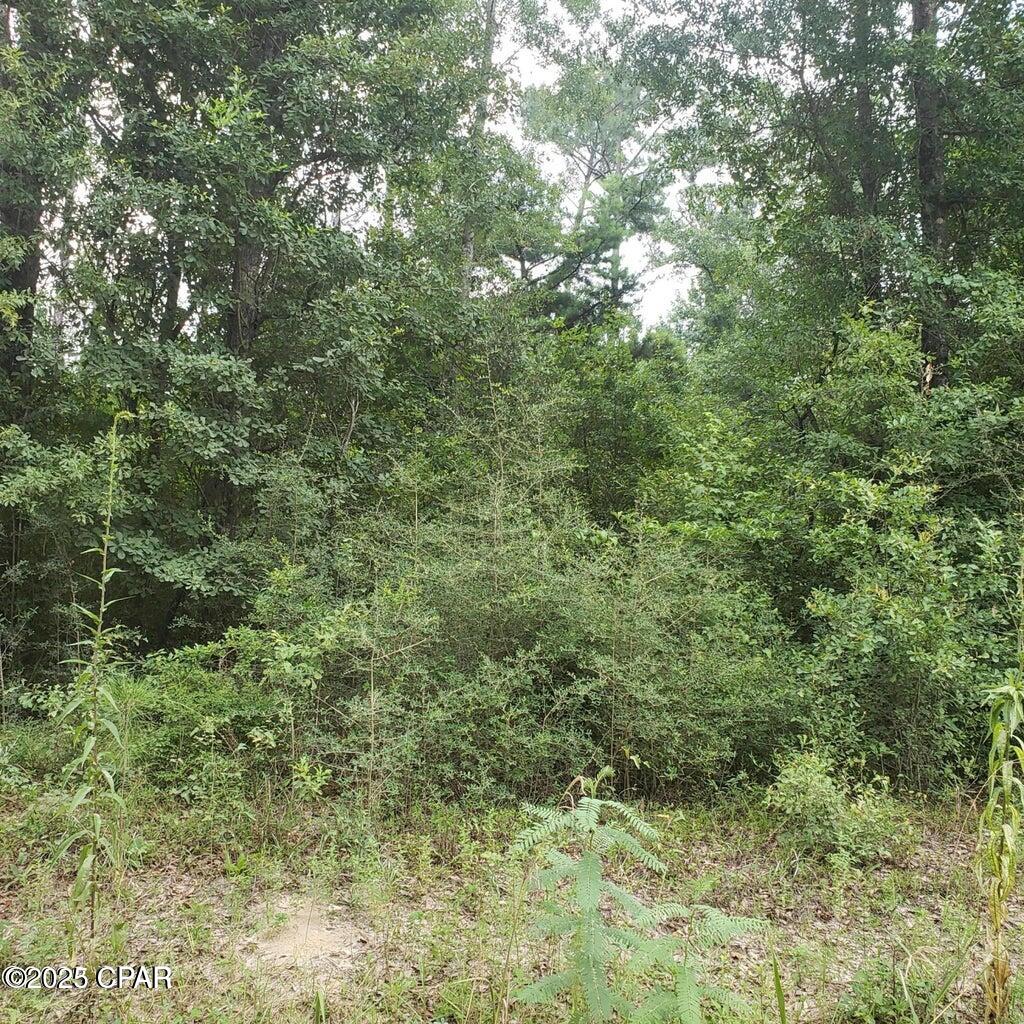 Xxx Foxworth Road Chipley, FL 32428 - Photo 6 of 6