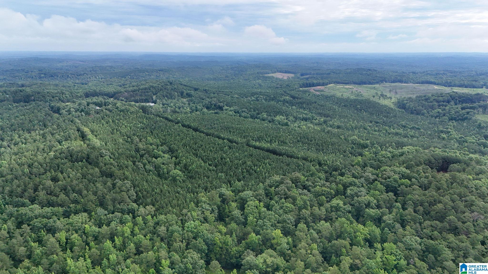 0 Skyview Lake Road Cottondale, AL 35453 - Photo 13 of 22