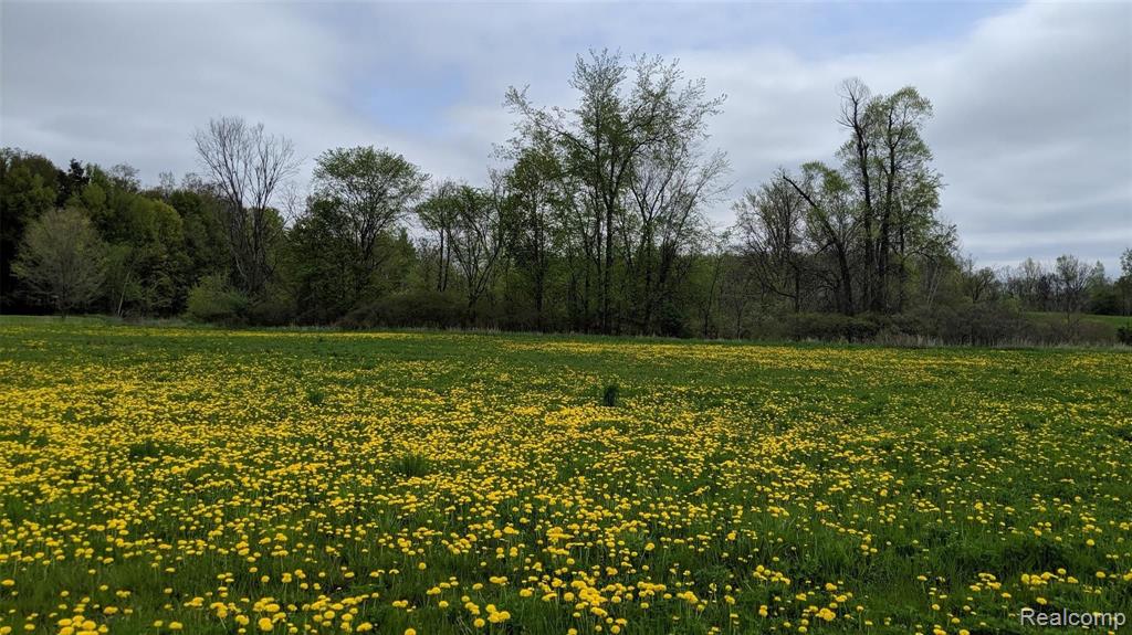 0 Slattery Road North Branch, MI 48461 - Photo 2 of 4