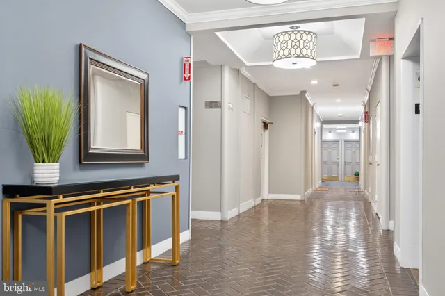 a view of a patio with plants and chairs
