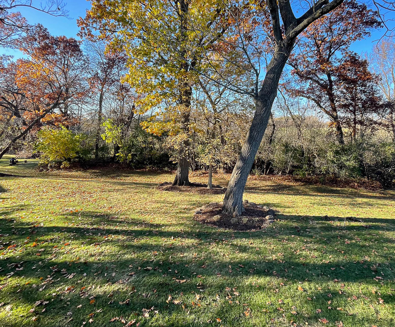 3418 Forest Ridge Drive Spring Grove, IL 60071 - Photo 20 of 24 Gallery Image 20