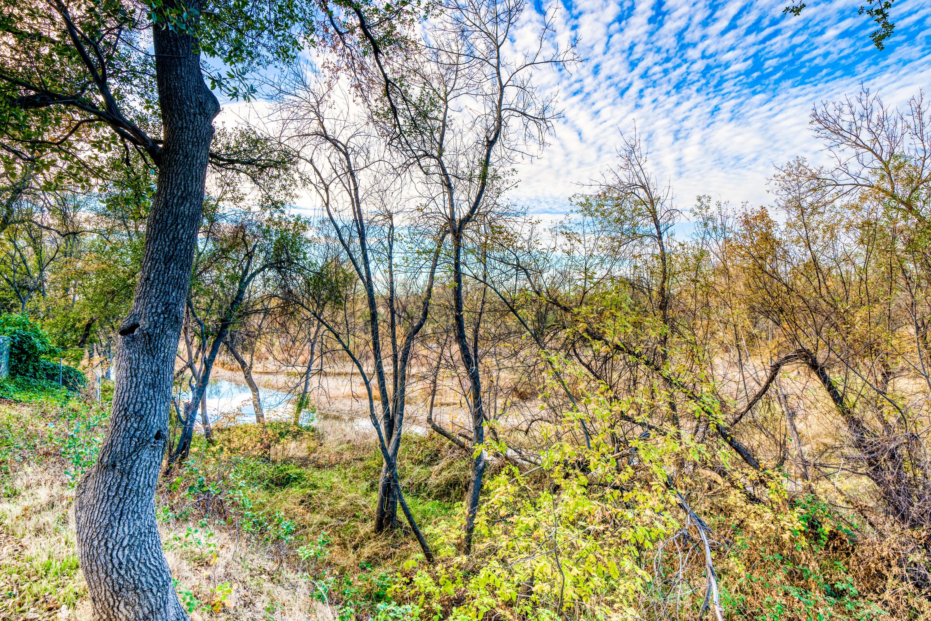 2274 Jessica Way Redding, CA 96002 - Photo 18 of 18 a view of forest