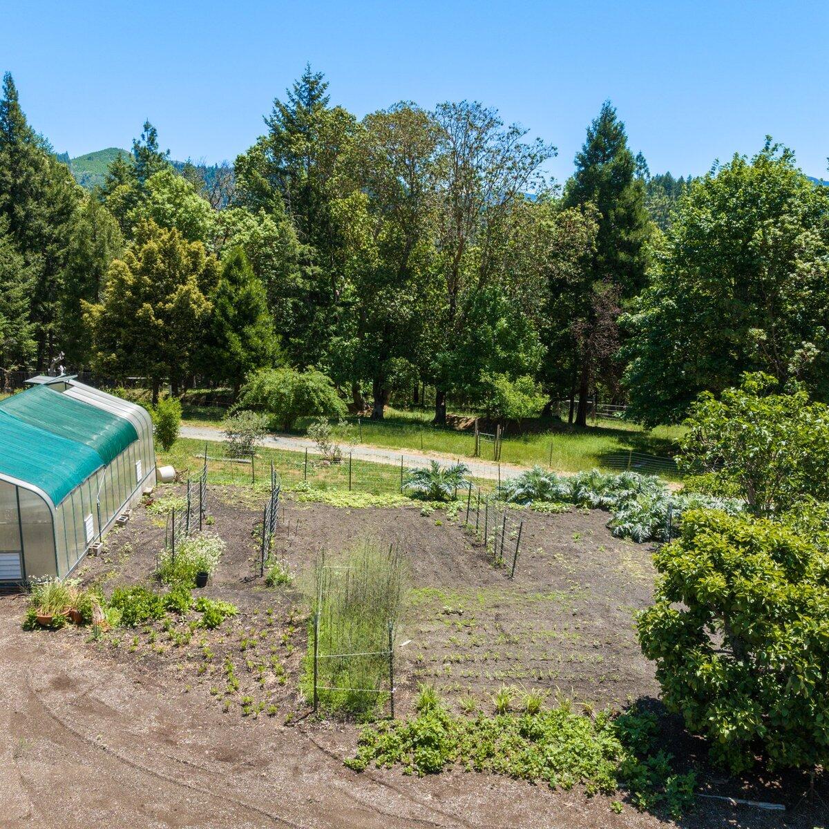 1104 Upper Cow Creek Road Azalea, OR 97410 - Photo 49 of 77 a view of a park with large trees