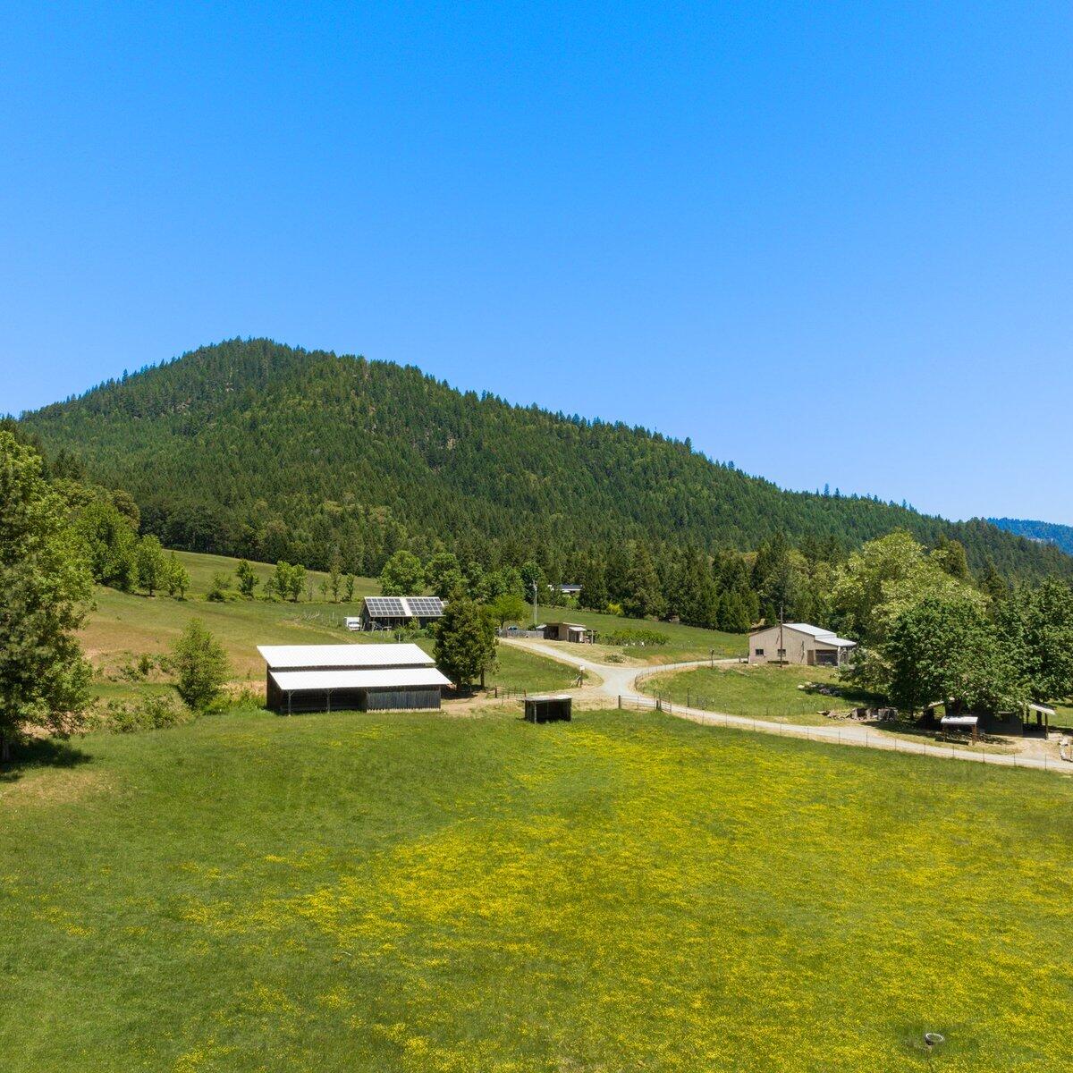 1104 Upper Cow Creek Road Azalea, OR 97410 - Photo 64 of 77 a view of a lake with mountains in the background
