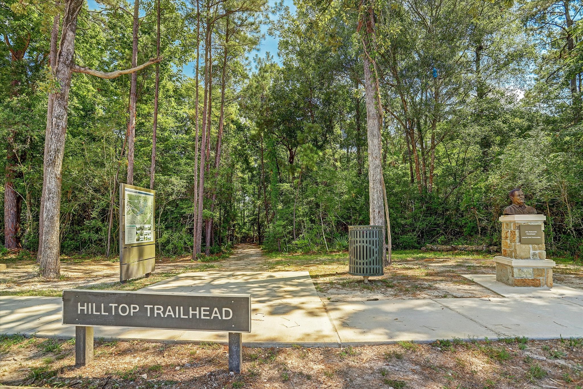 3805 Enchanted Timbers Lane Spring, TX 77386 - Photo 36 of 37