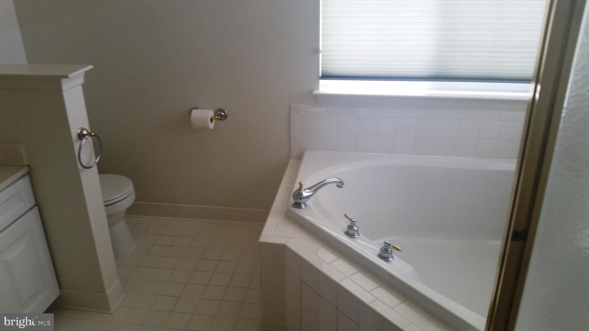 10408 Navarone Place Manassas, VA 20110 - Photo 20 of 31 Large soaking tub in master bathroom