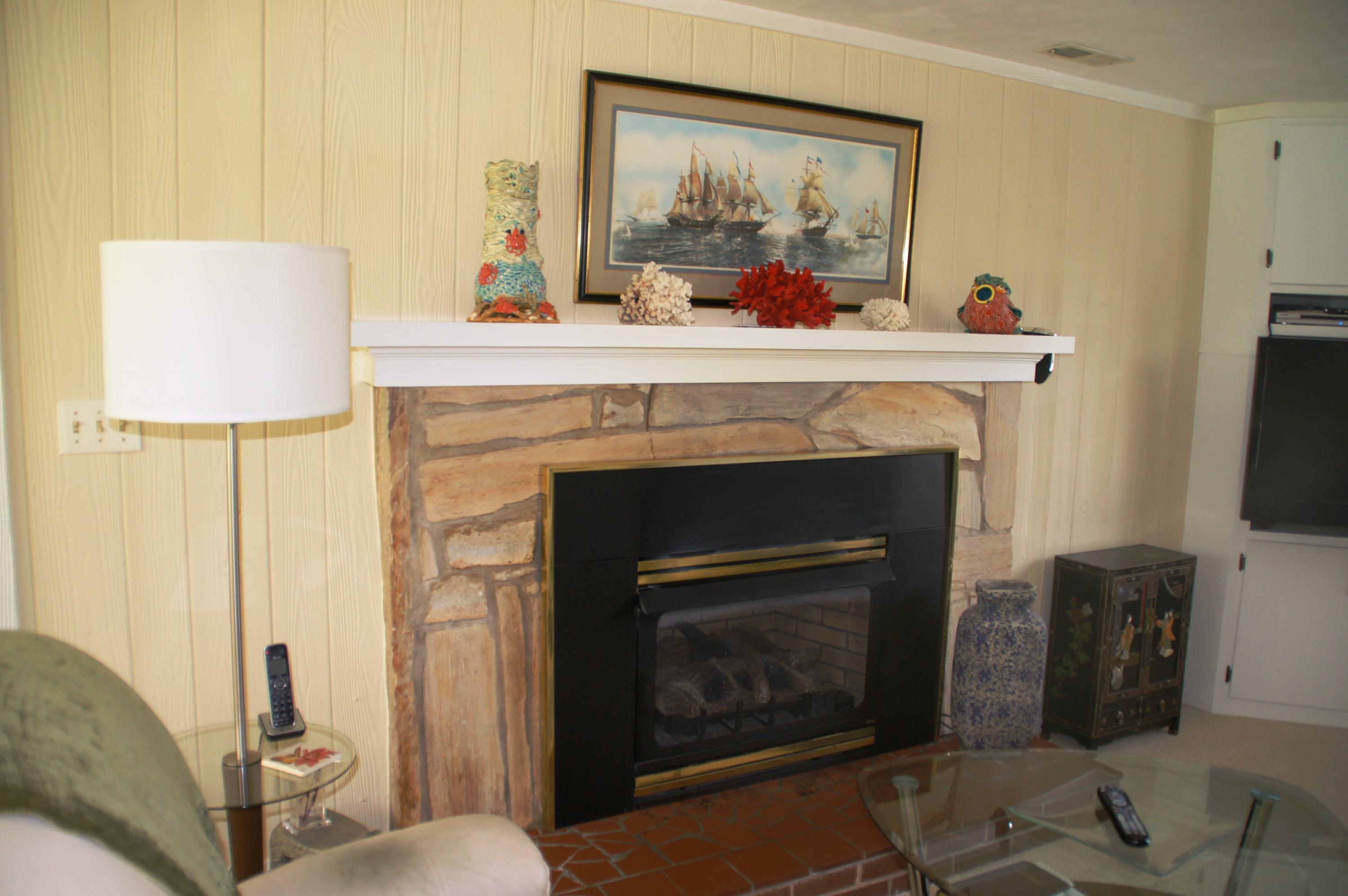 3509 Windsor Road Roanoke, VA 24018 - Photo 17 of 41 Family Room Fireplace