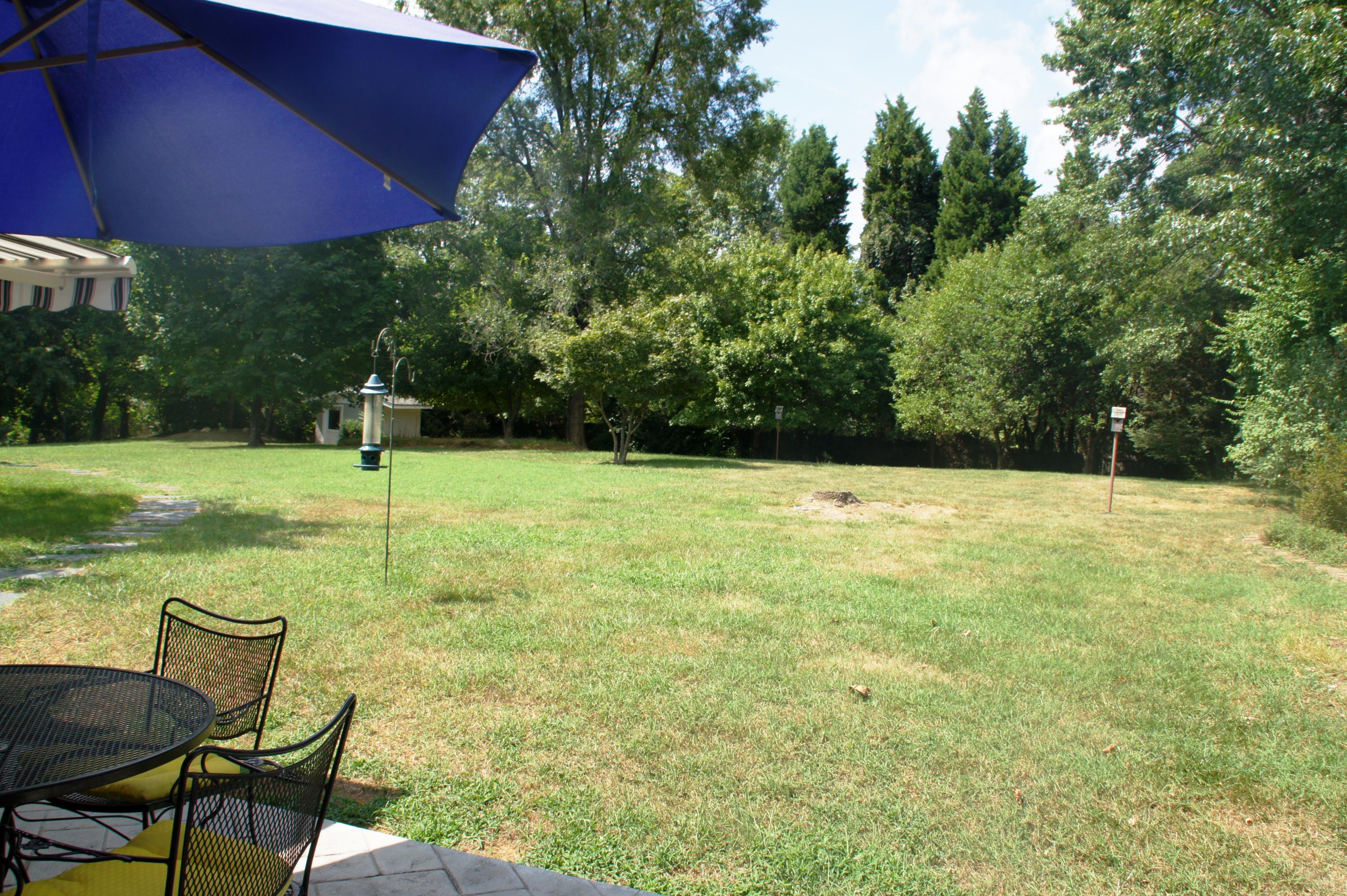3509 Windsor Road Roanoke, VA 24018 - Photo 31 of 41 Backyard