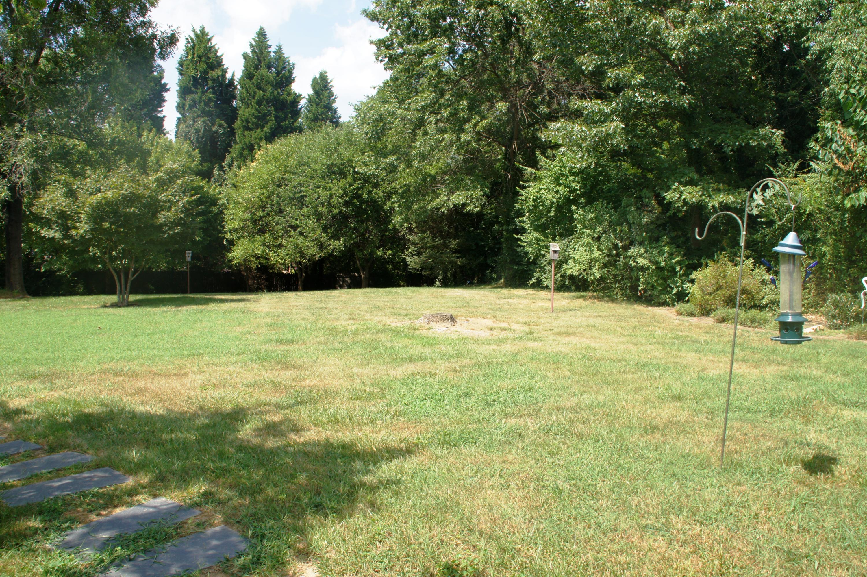 3509 Windsor Road Roanoke, VA 24018 - Photo 33 of 41 Backyard