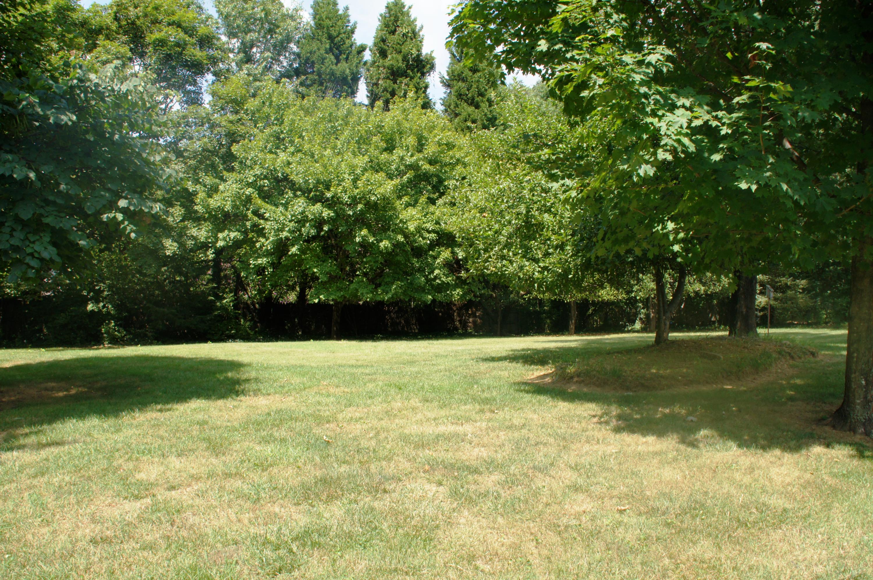 3509 Windsor Road Roanoke, VA 24018 - Photo 36 of 41 Back Yard