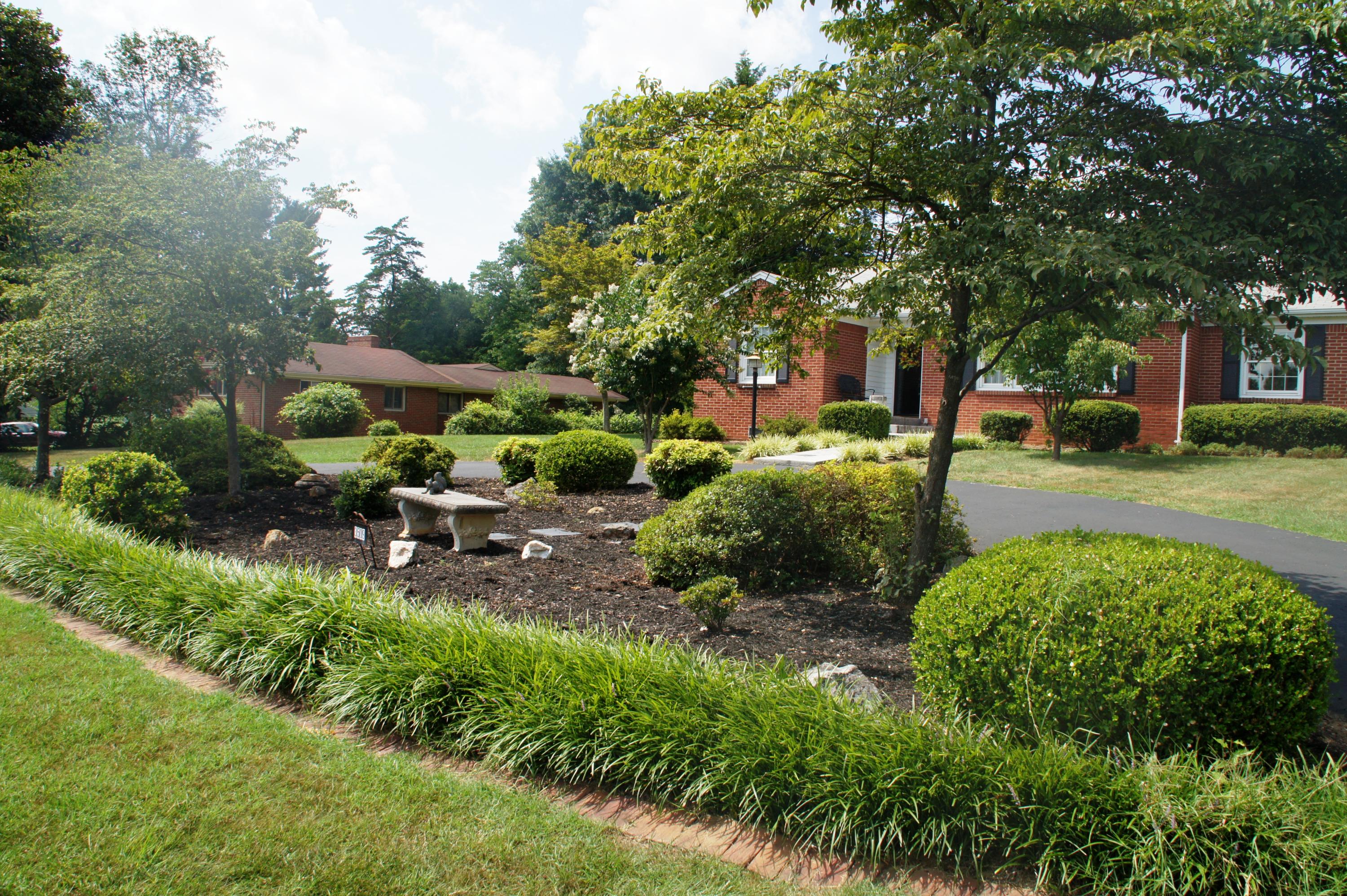 3509 Windsor Road Roanoke, VA 24018 - Photo 40 of 41 Front Garden