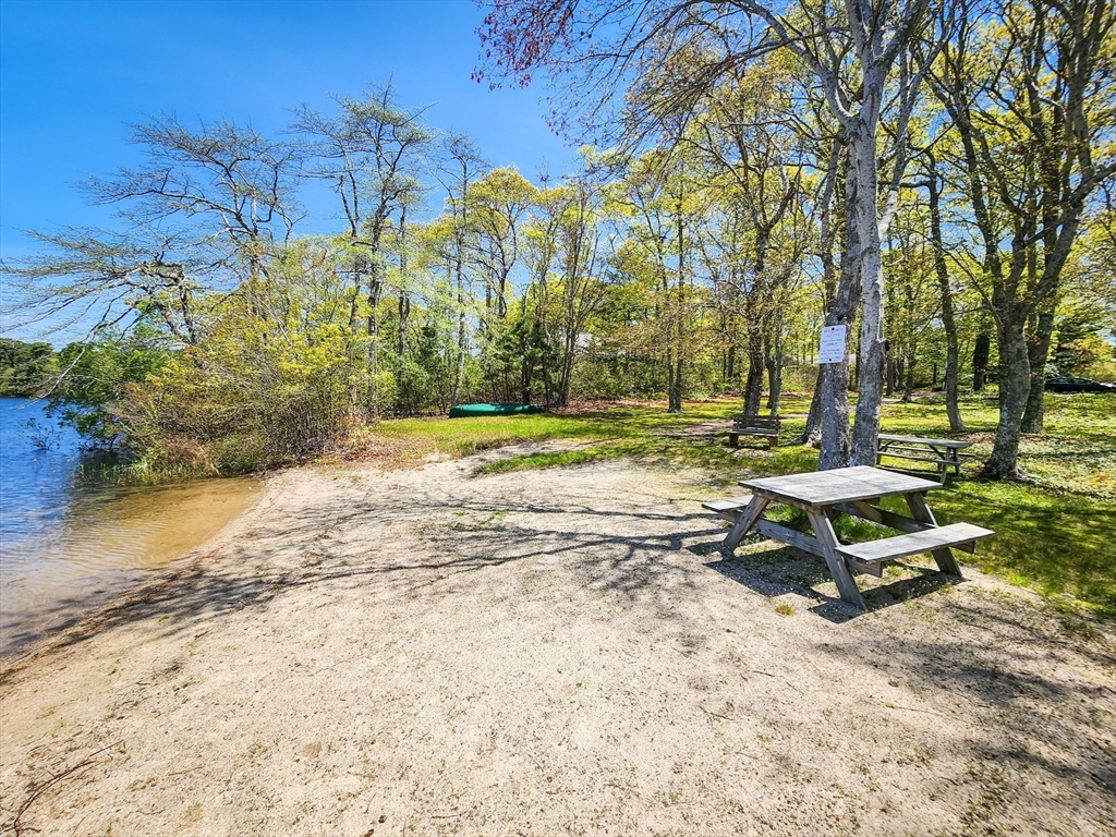 29 Sullivan Road Yarmouth, MA 02673 - Photo 39 of 42 a small garden with trees in the background