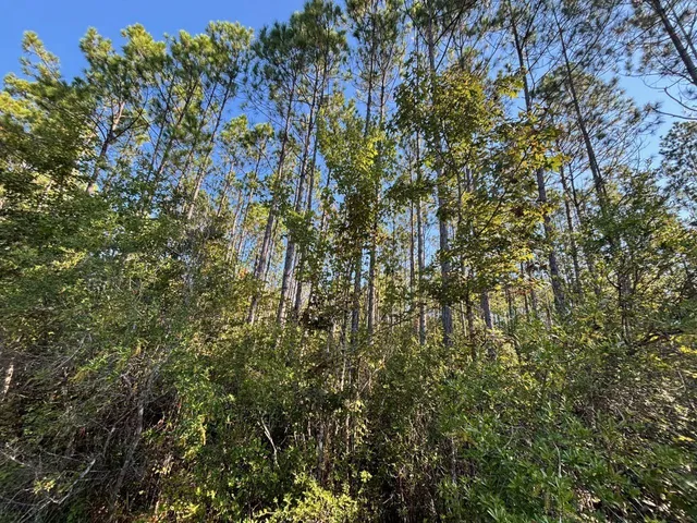 $349,900 | 1570 Southwest Wabasso Terrace, Greenville, FL 32331