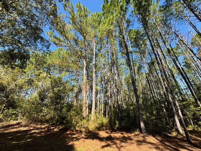 $349,900 | 1570 Southwest Wabasso Terrace, Greenville, FL 32331