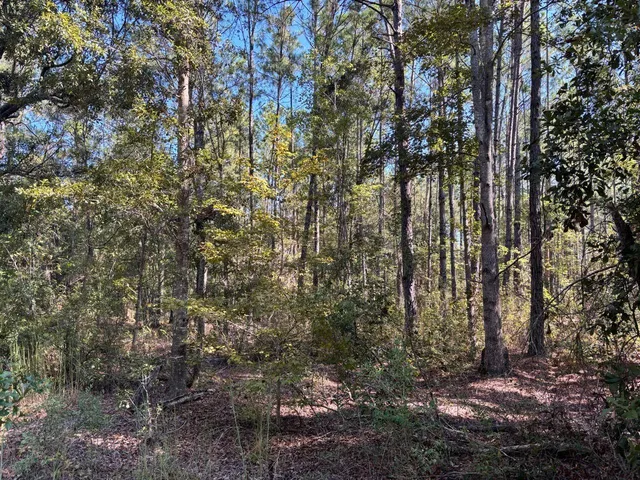 $349,900 | 1570 Southwest Wabasso Terrace, Greenville, FL 32331