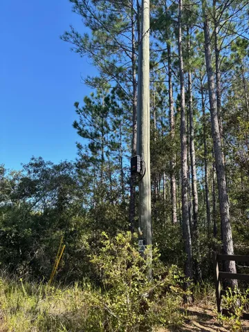 $349,900 | 1570 Southwest Wabasso Terrace, Greenville, FL 32331