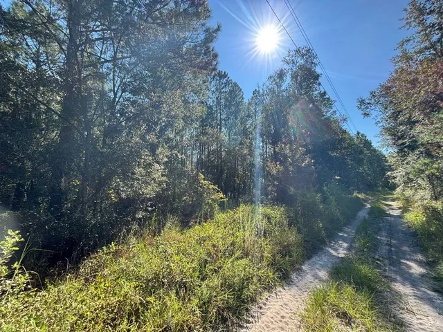 $349,900 | 1570 Southwest Wabasso Terrace, Greenville, FL 32331