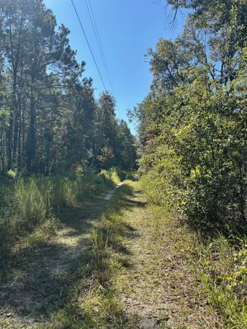 $349,900 | 1570 Southwest Wabasso Terrace, Greenville, FL 32331