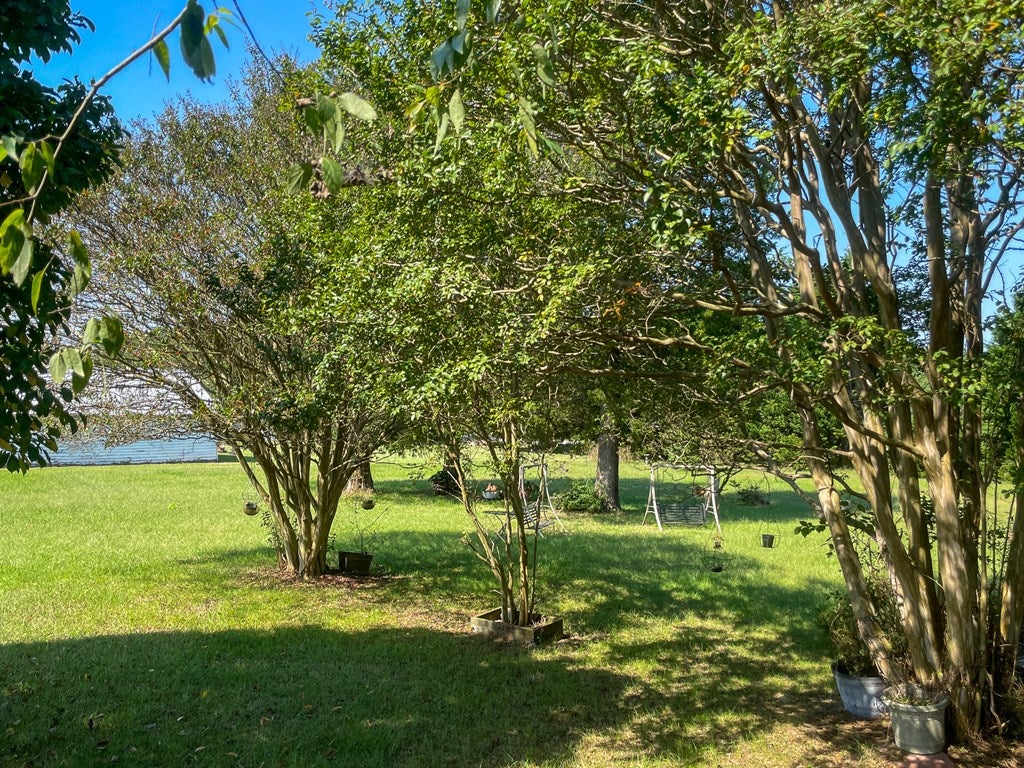 6530 Dry Bread Road Lawrenceville, VA 23868 - Photo 40 of 42 Gallery Image 40